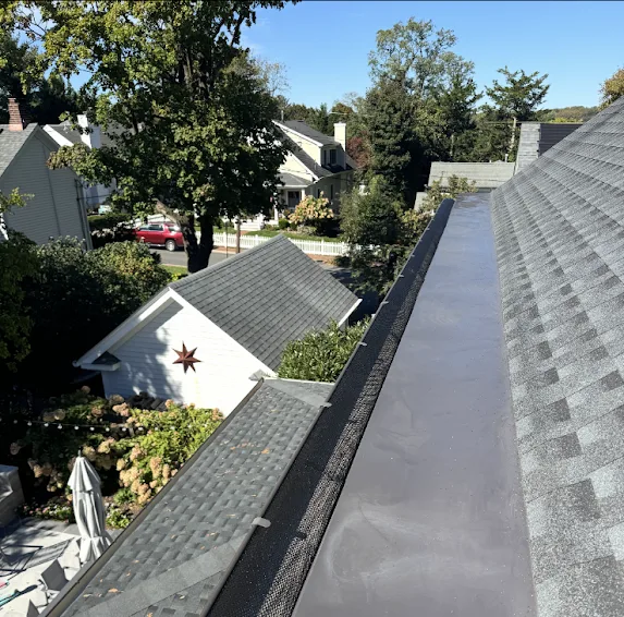 Fair Haven Gutter Guards: Black Half-Round Gutters Cleaned Out and Fitted With USA-Made Stainless Steel Guards