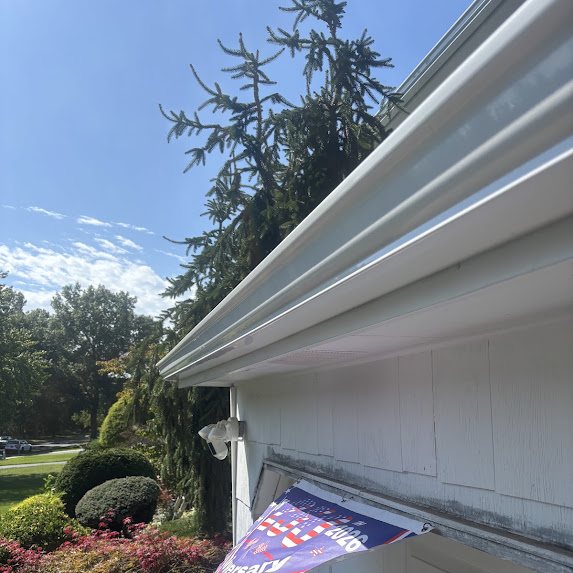 Finished white 6-inch K-style gutter run on a house beneath a large spruce tree