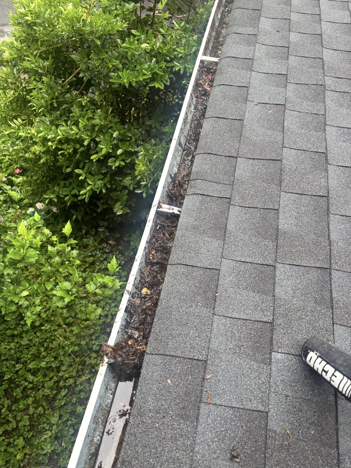 Gutter packed with wet leaves and debris beside gray shingles during a cleaning in Roosevelt NJ