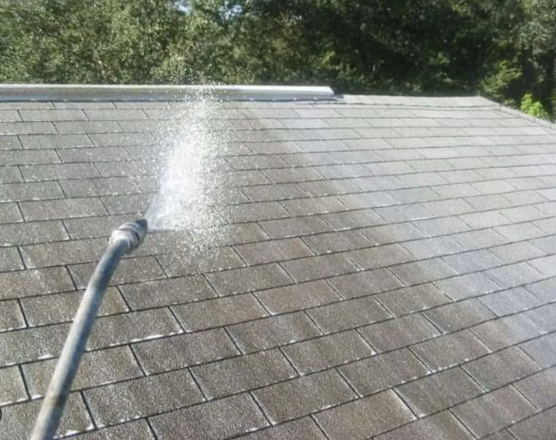 Professional soft wash roof cleaning
