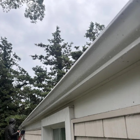 Spring Lake Heights Storm Damage: Tree Hits the Gutter, New 5-Inch K-Style Goes Up Fast