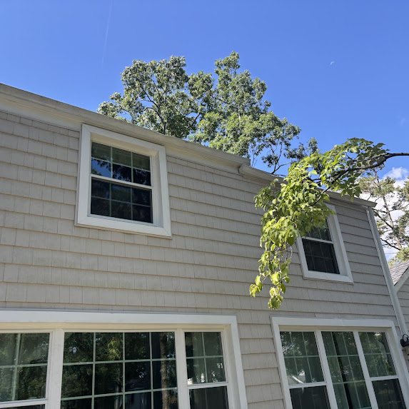 Large tree limbs hanging over the roofline of a Spring Lake Heights home